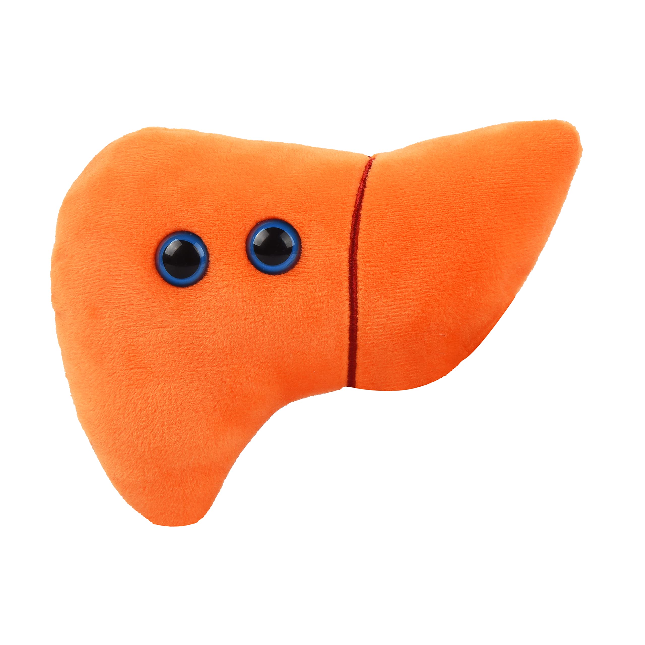 Giantmicrobes Stuffed Liver Plush, Liver Stuffed Animal, Anatomical Liver, Hepatologist Gift, Liver Transplant Gifts, Hepatitis